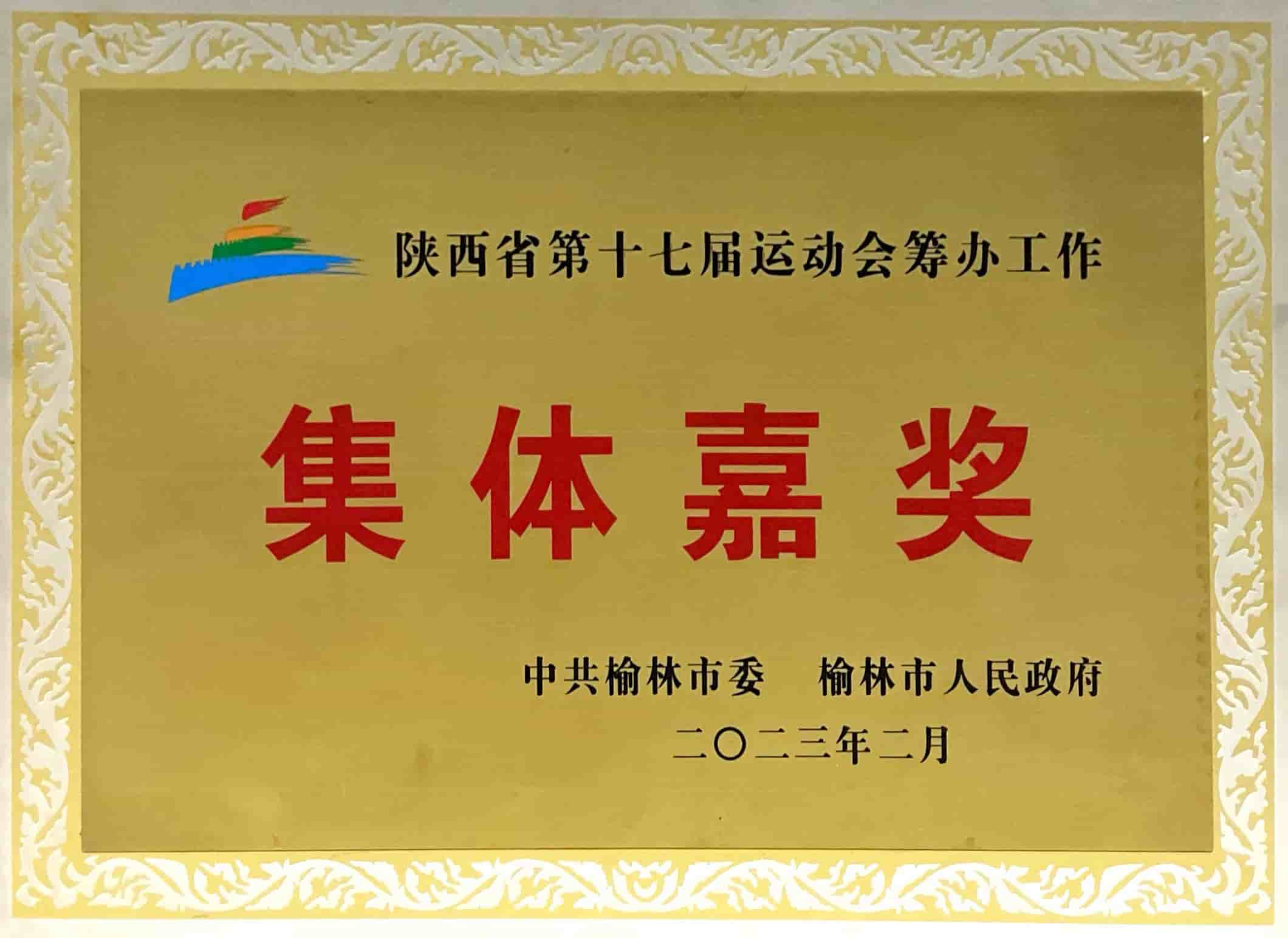 陜西省第十七屆運動會籌辦工作集團嘉獎